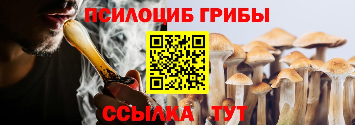 Псилоцибиновые грибы ЛСД  Вход с VPN  Кудрово  Галлюциногенные грибы Magic Shrooms 
