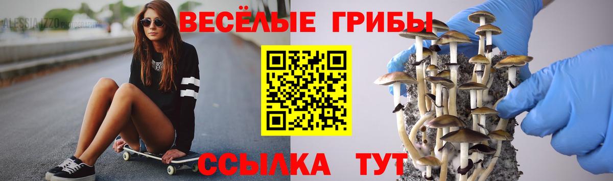 ГАШИШ Кудрово
